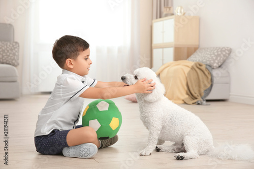 Fotografie Little boy and bichon frise dog playing at home
