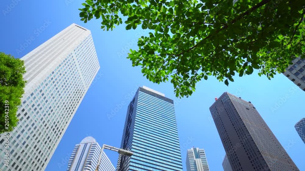 Skyscrapers in early summer