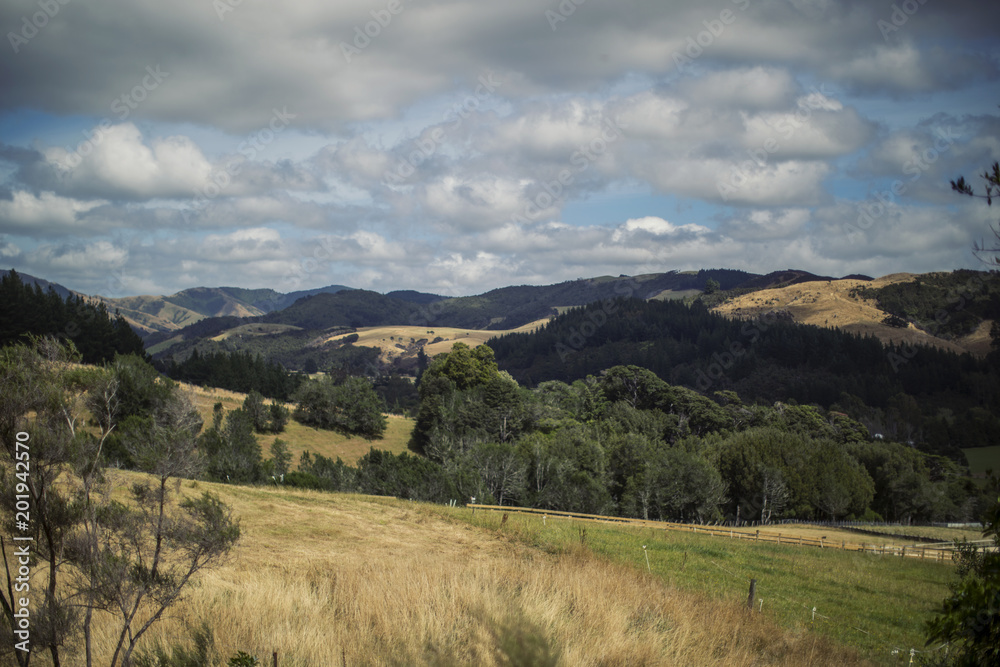 Obraz premium Rolling Hills