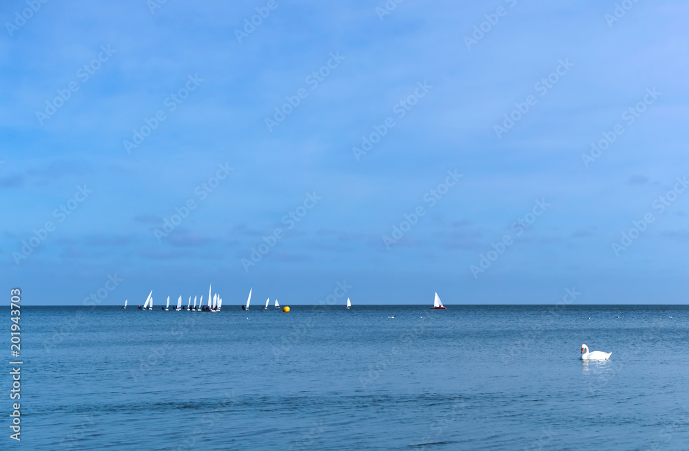 Racing yachts with white sails. Centerboarder yachts in the distance on the water.