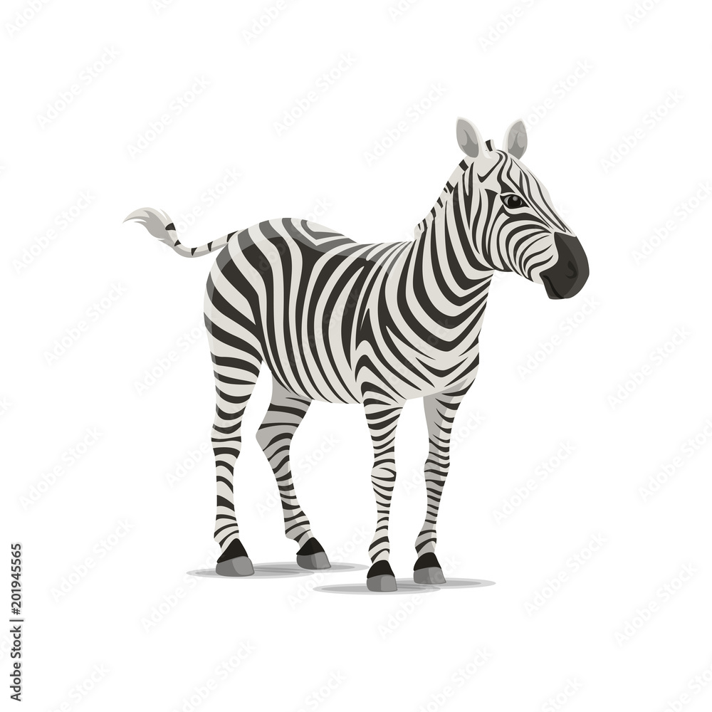 Zebra vector sketch exotic animal icon
