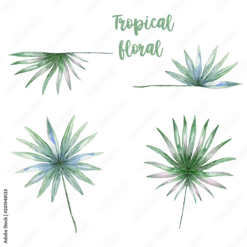 Watercolor tropical floral clip art jungle drawing, illustration on white background