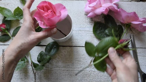 Top view of female decorator arranging roses on the wooden table, Concepts - fiorist, occupation, hobby, small business photo