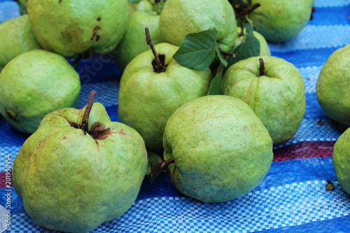 Guava fruit is delicious in the market