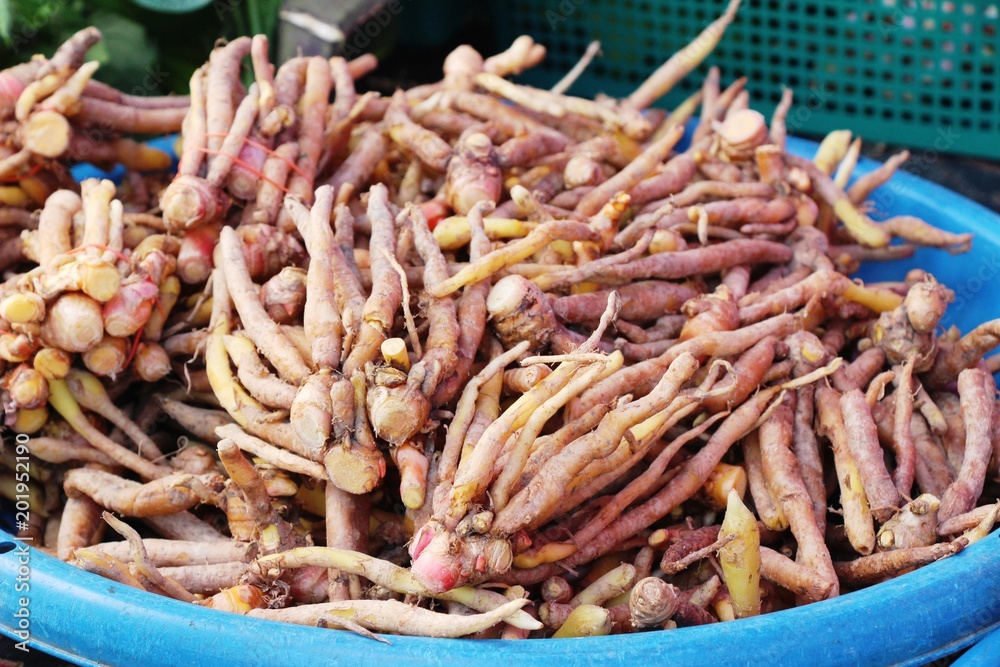 Ginger root for cooking in the market Ginger root for cooking in the market