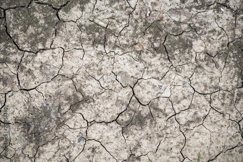 Piece of parched land, texture with cracks in the dirt, used for design and backgrounds