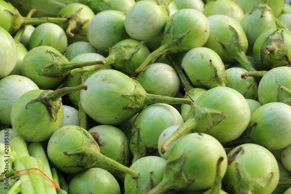 Fresh eggplant green organic in the market Fresh eggplant green organic in the market