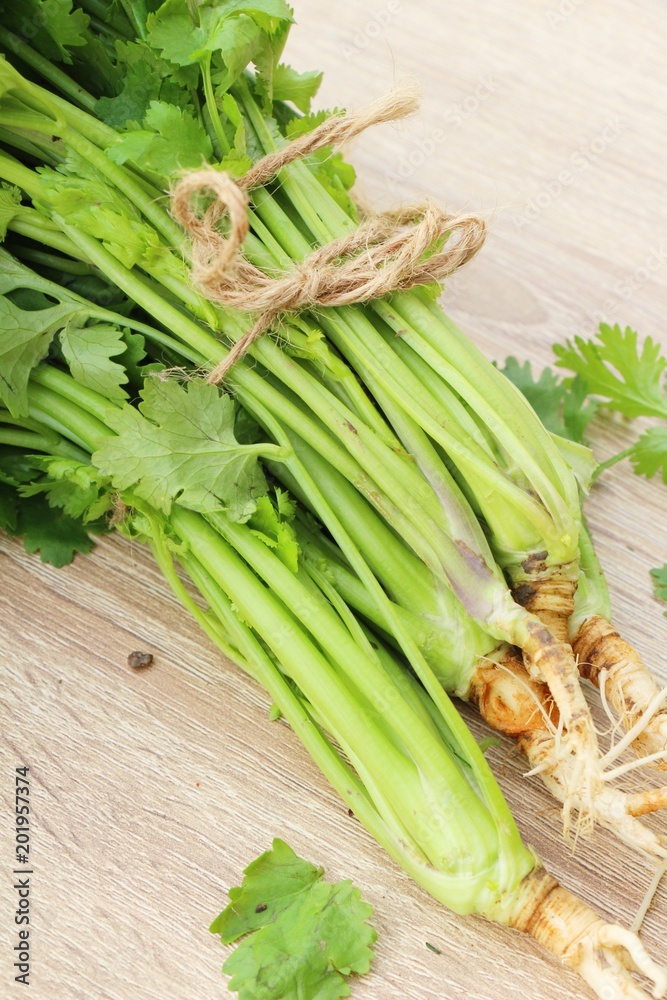 Fresh coriander for cooking on wood background Fresh coriander for cooking on wood background