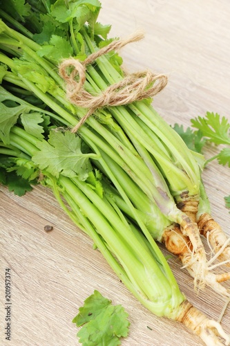 Fresh coriander for cooking on wood background