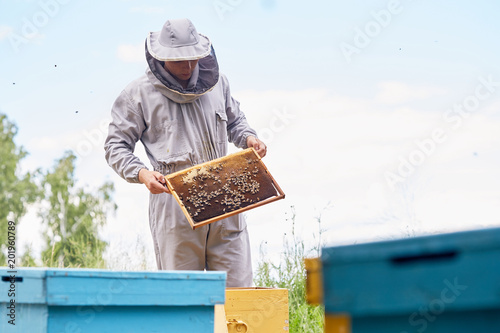 Portrait of unrecognizable beekeeper holding honeycomb frame while harvesting honey in apiary, copy space