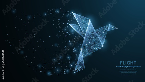 Abstract origami paper bird. Polygonal wireframe mesh with dots and stars. Concept illustration or background photo