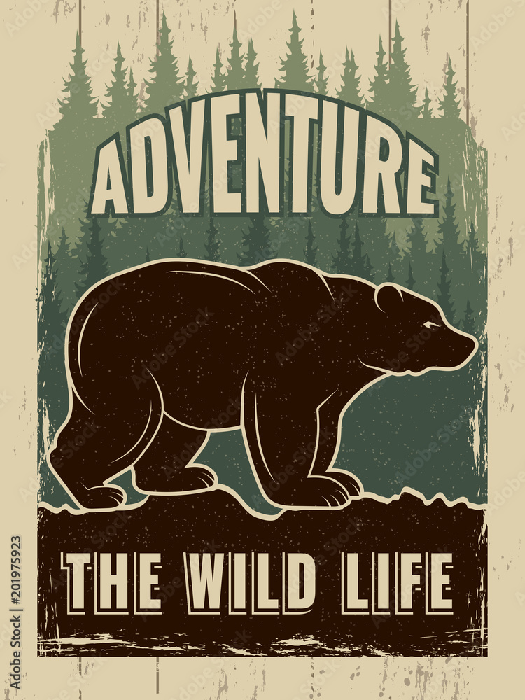 Plakat Retro plakat z obrazem dzikiego niedźwiedzia