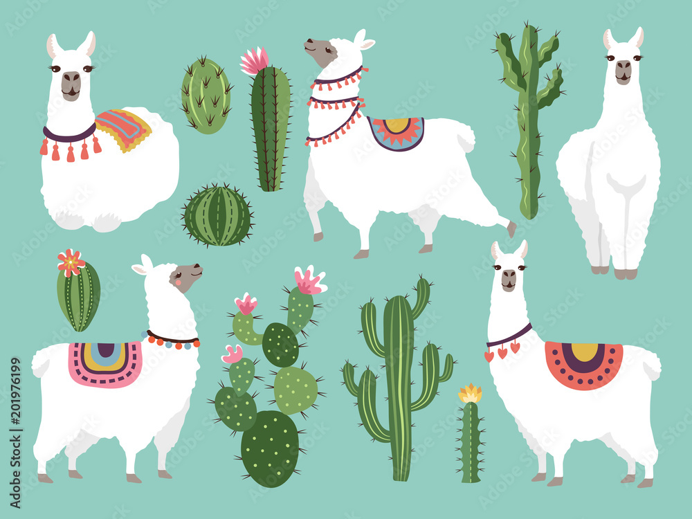 Illustrations of funny llama. Vector animal in flat style