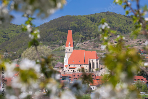 Photography Weissenkirchen village during spring time in Wachau, Austria