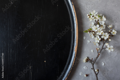 Background with a flowering spring branch of plum trees on plaster plaster and a black tray