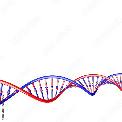 DNA strand. Isolated on whi...