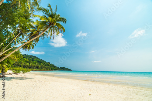 Beautiful nature tropical beach and sea with coconut palm tree on paradise island