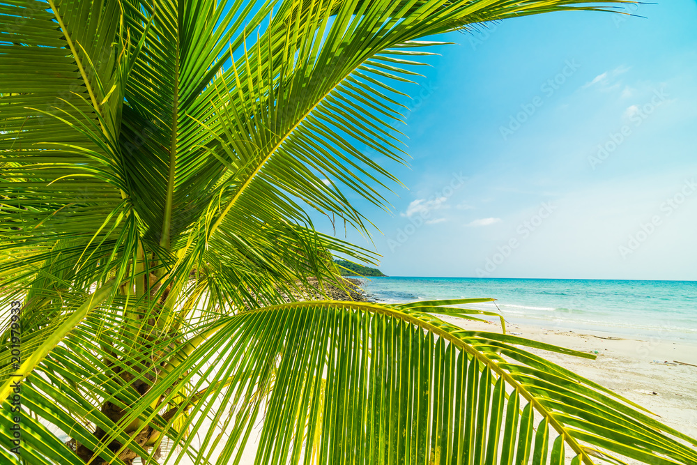 Fototapeta premium Beautiful nature tropical beach and sea with coconut palm tree on paradise island