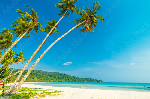 Fototapeta Naklejka Na Ścianę i Meble -  Beautiful nature tropical beach and sea with coconut palm tree on paradise island