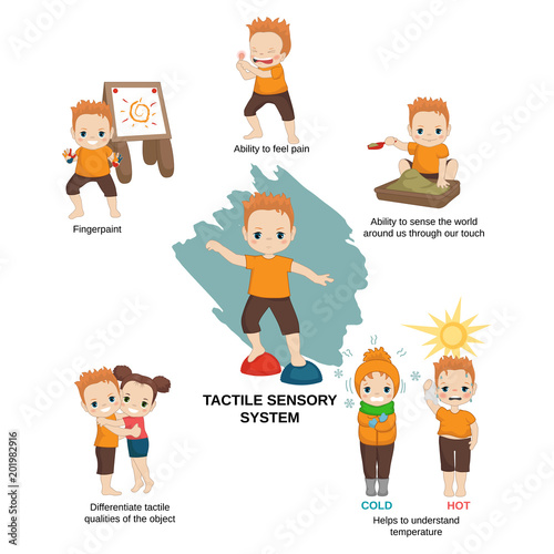 Illustration of human senses