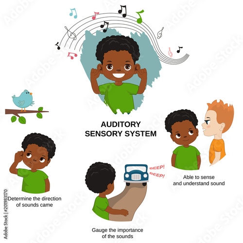 Illustration of human senses
