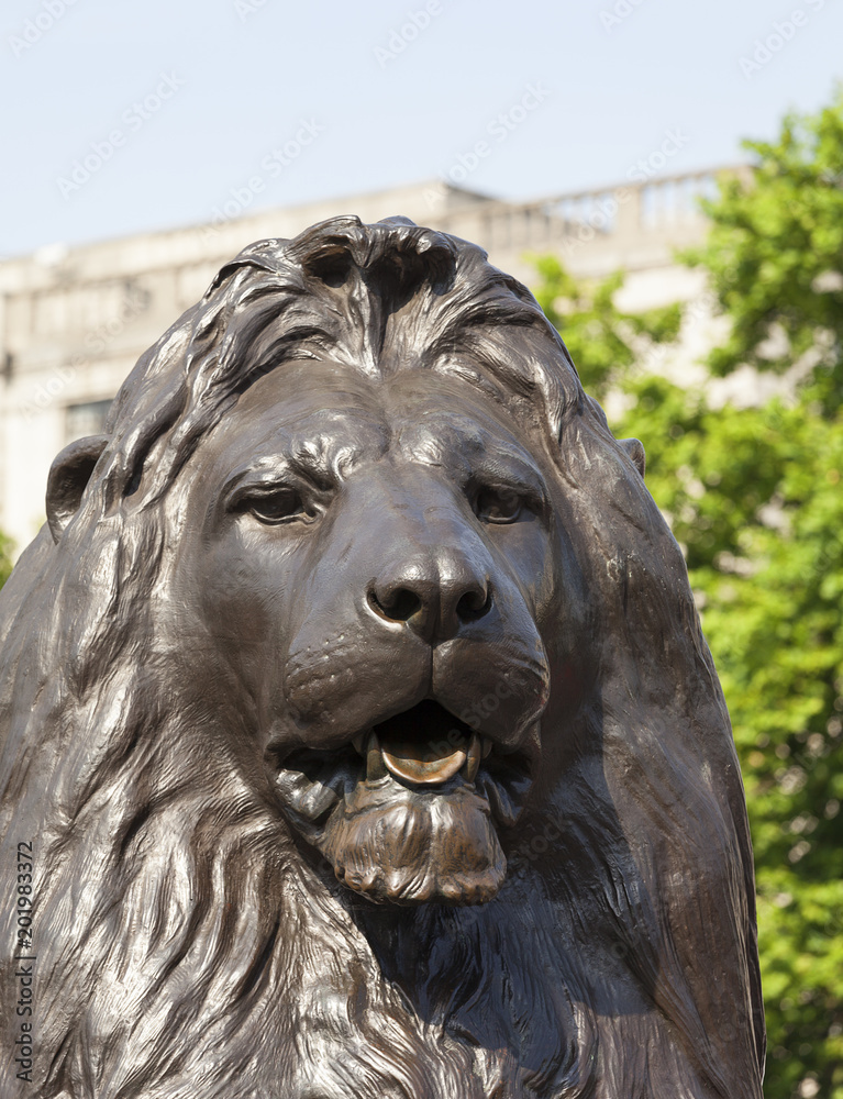 Lion statue on Trafalgar Square, London, United Kingdom