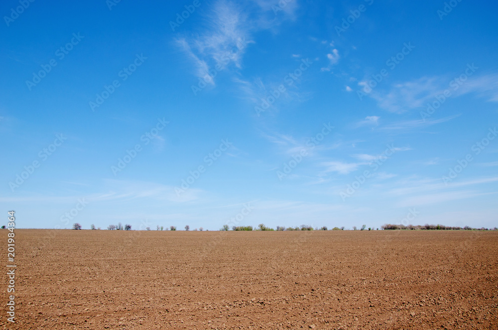 farmer field in early spring