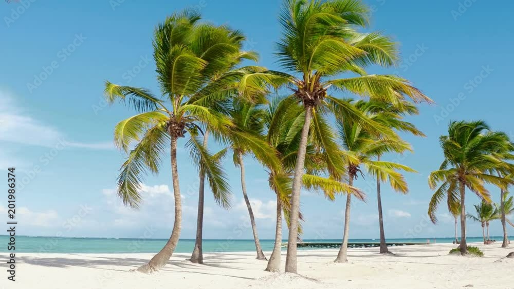 Thailand Phuket Pattaya beach and sea palm trees on white sand beach Thailand Phuket Pattaya beach and sea palm trees on white sand beach