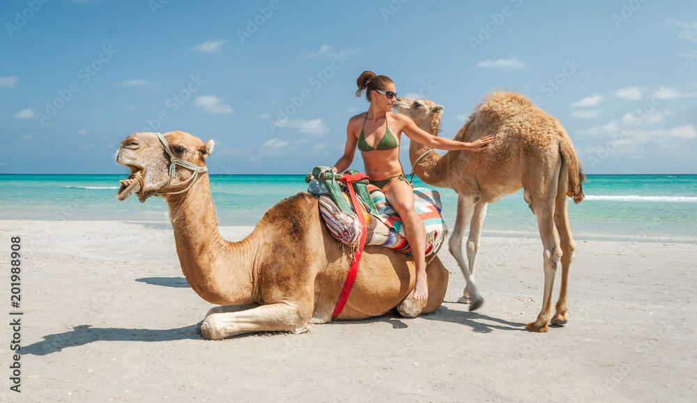 Fototapeta premium Pretty Young Woman Sitting on a Camel on the Beach during a Tropical Day