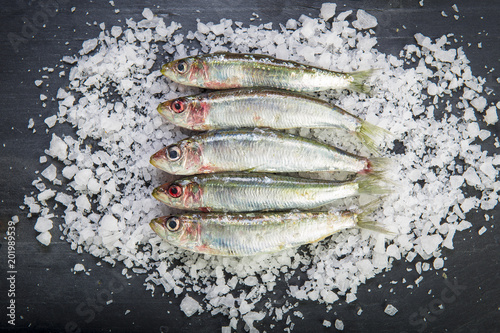 Sardinas frescas crudas sobre un lecho de sal marina, pescado azul para preparar la comida