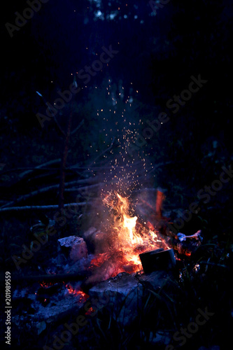 fire night © Екатерина Наймушина