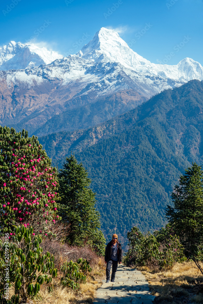 A young man with a red beard and a backpack in the mountains. the concept of active recreation and tourism in the mountains. Nepal in the spring Himalayas.