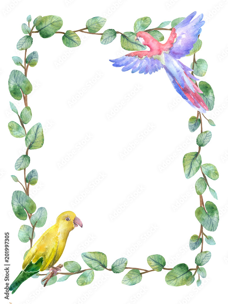 Watercolor green floral frame card with silver dollar eucalyptus round ...