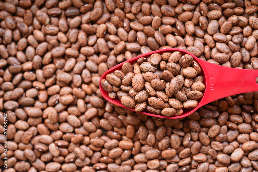 close up of pinto bean for background close up of pinto bean for background