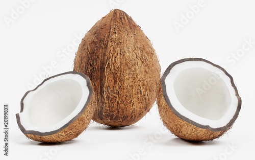 Realistic 3d Render of Coconut