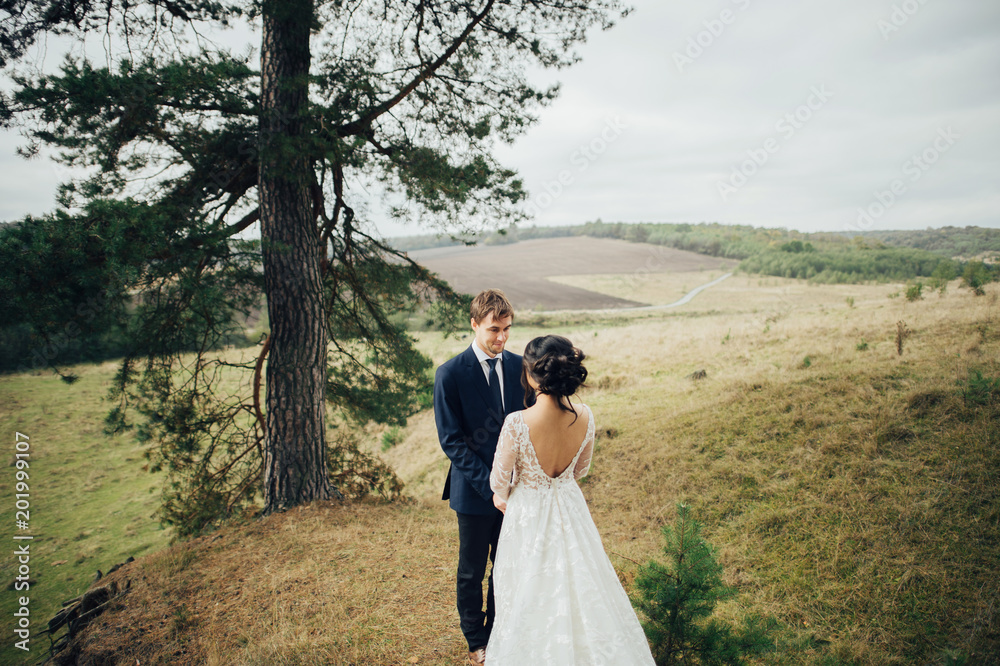 newly wedded couple tenderly kissing between spruce trees