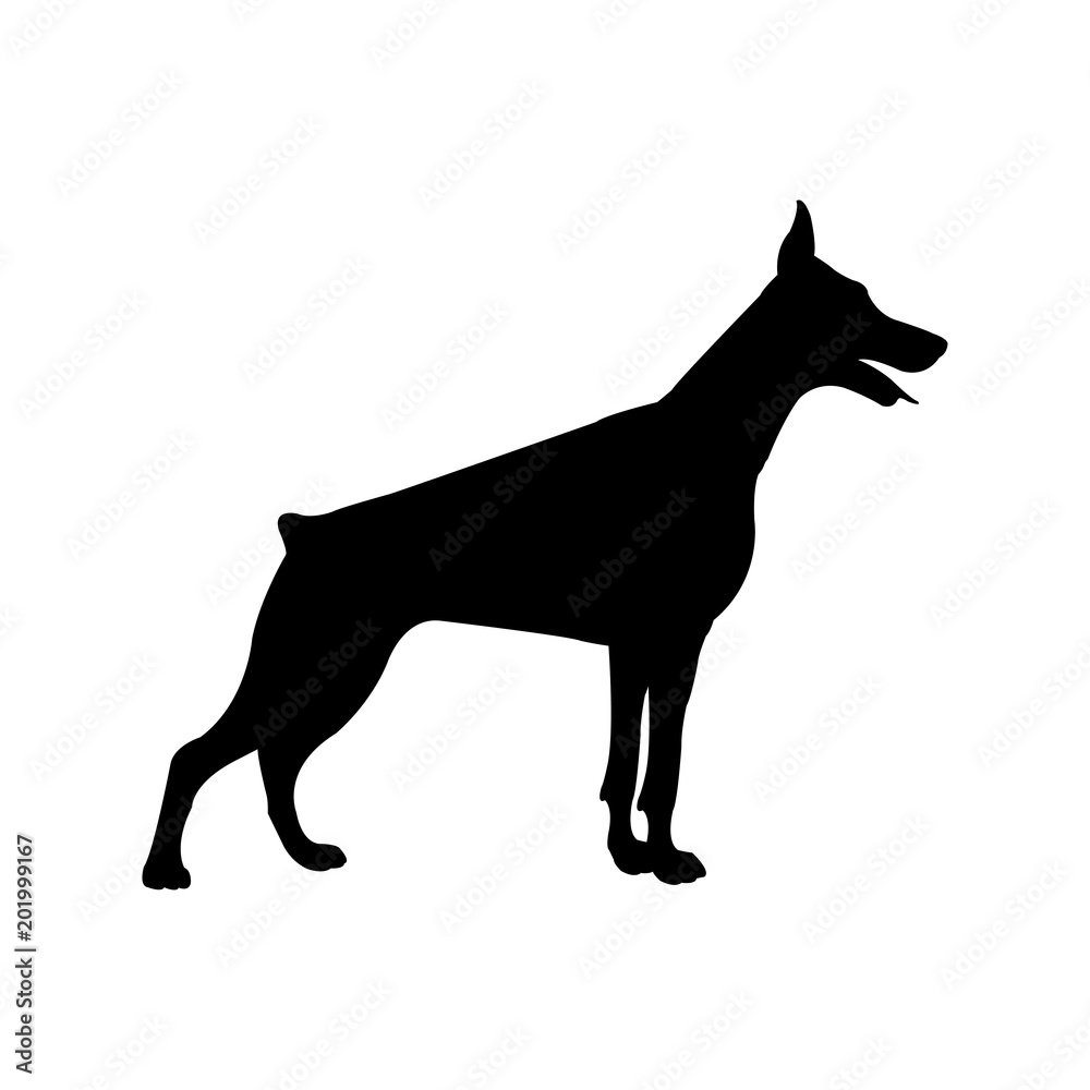 Icono plano silueta perro Doberman en color negro