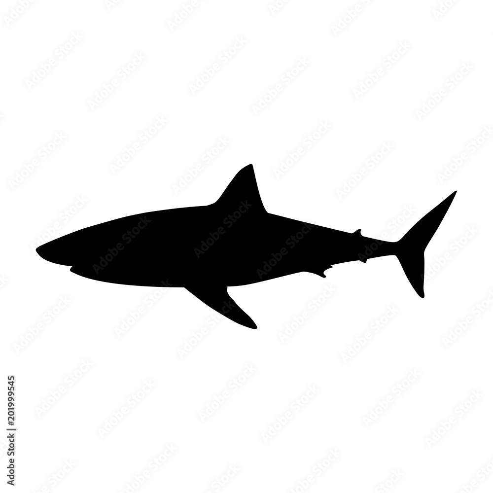 Icono plano silueta tiburon blanco aislado en color negro Icono plano silueta tiburon blanco aislado en color negro