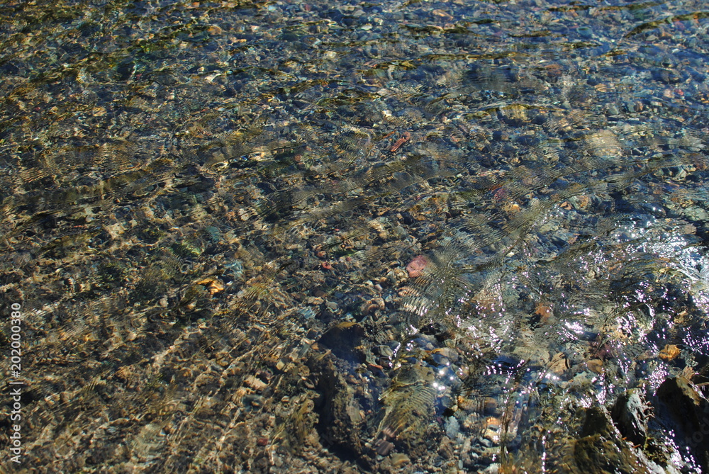 Altai Altai