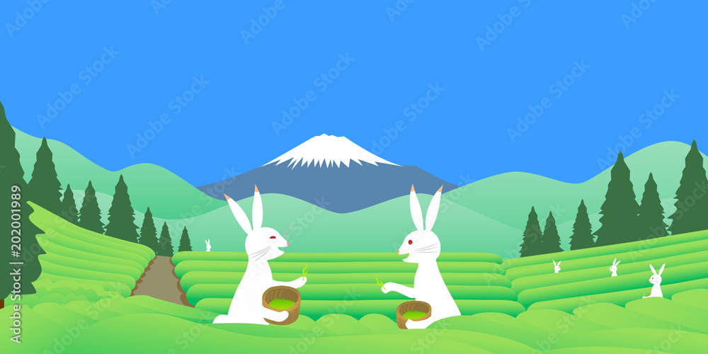 鳥獣戯画っぽいウサギが茶摘み体験する富士山の見える茶畑の風景 Stock イラスト Adobe Stock