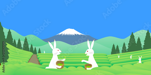 鳥獣戯画っぽいウサギが茶摘み体験する富士山の見える茶畑の風景 Stock イラスト Adobe Stock 鳥獣戯画っぽいウサギが茶摘み体験する富士山の見える茶畑の風景 Stock イラスト Adobe Stock