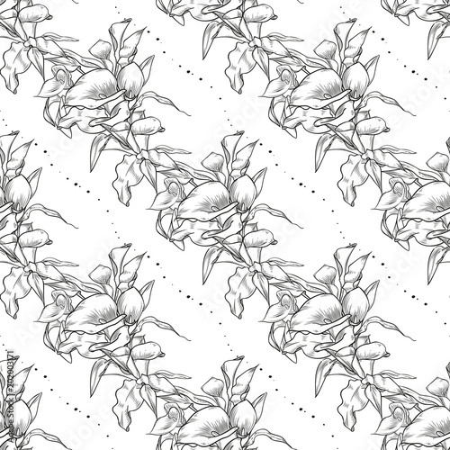 Vector callas seamless pattern of flowers photo