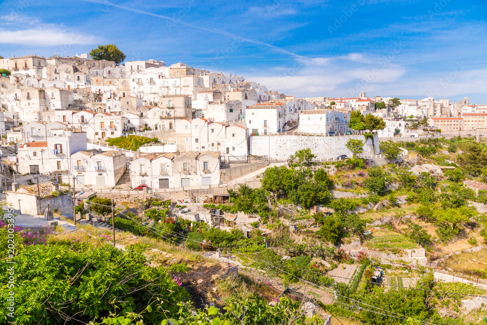View of the old village of Monte Sant'Angelo, in Apulia region, Italy.