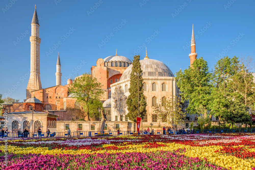 Naklejka premium Largest Carpet of Tulips of the World in Sultanahmet for tulip festival