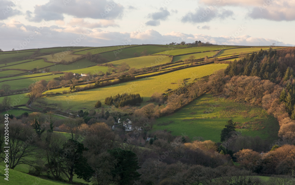 Countryside near Barnstaple, North Devon, England