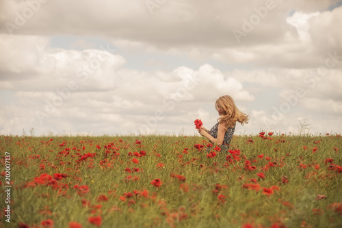 Fototapeta Naklejka Na Ścianę i Meble -  a natural real woman with blond hair whirls in a field with beautiful red poppies. An atmosphere of carefree joy of happiness. Soft focus.
