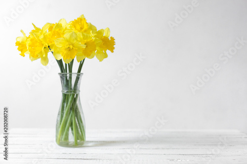 Daffodils in a vase on a white background. Drawing of yellow flowers on a white background. Composition of flowers. Top view, space for copy, square, flat lay.