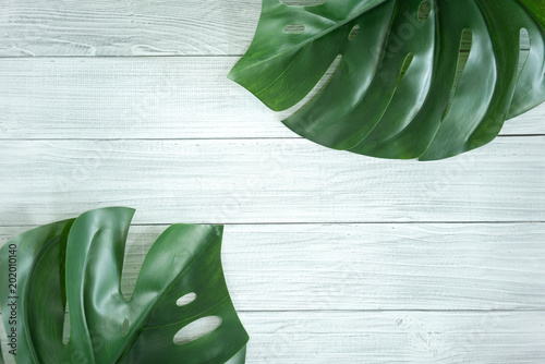 Big green leaves on a white wooden table, flat lay template with text space