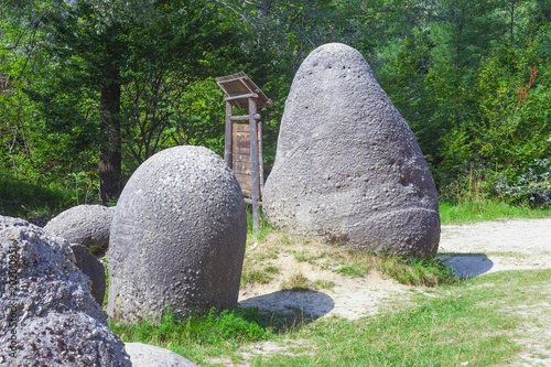 Foto Concretions growing up, old trovant natural formed, cement sand, Romania Europe