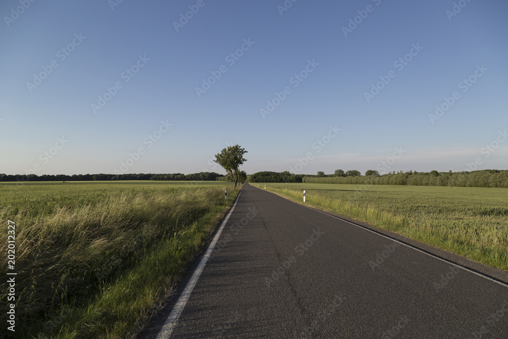 Empty rural road on a summer evening
